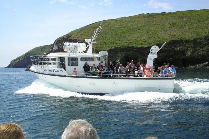 Dingle to Blasket Island Ferry - Price and value: $102.25 and what makes it feel fair