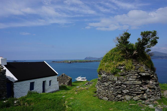 Dingle to Blasket Island Ferry - The Fungie moment at the Dingle Harbour entrance