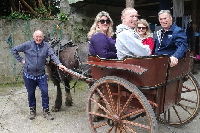 Dingle Town & Peninsula Private Chauffeur Driven Day Tour From Killarney Luxury - How the day runs: 9:30 pickup, private comfort, and built-in breaks