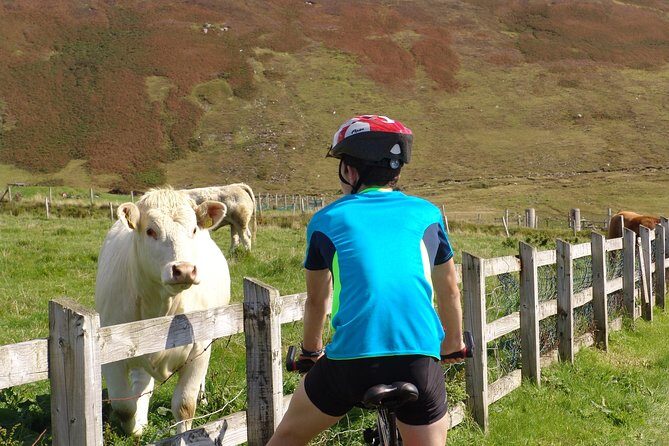 Donegal Coast One Day Self-Guided E-Bike Tour - What happens when you show up: Bike setup, kit, and route clarity