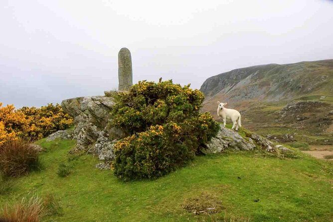 Donegal Coast One Day Self-Guided E-Bike Tour - Glencolmcille Folk Village: Museum-craft-shop-café time