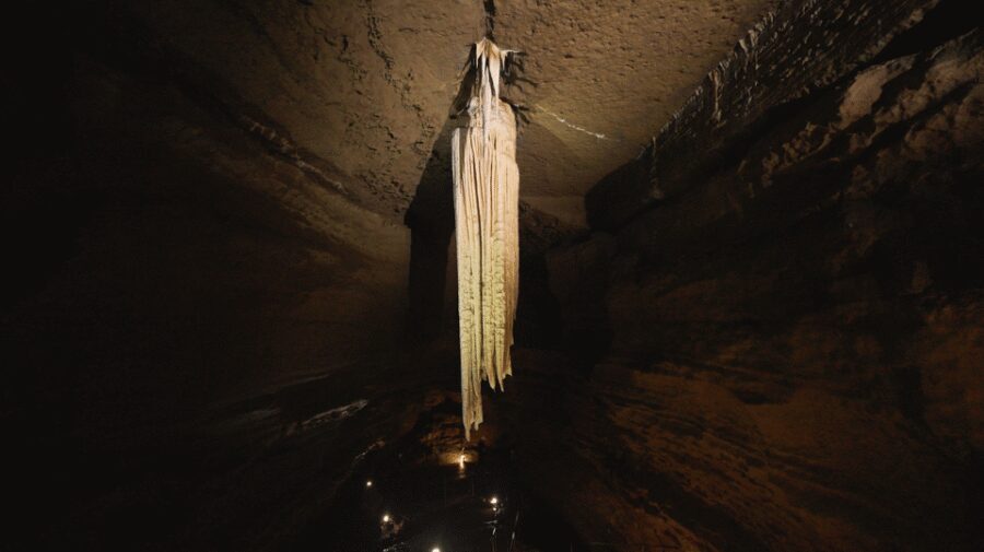 Doolin Cave Tour: Experience Europe's Largest Stalactite - Price and value: about $26 for a high-impact outing