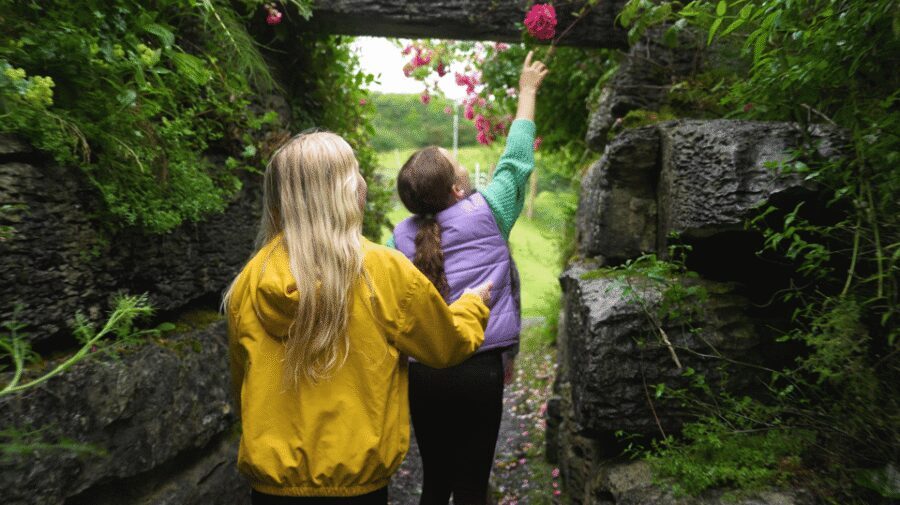Doolin Cave Tour: Experience Europe's Largest Stalactite - Finishing touches: animals, pacing, and timing your day