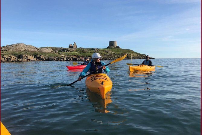 Dublin Bay Seal Kayaking Safari at Dalkey - Key points before you go