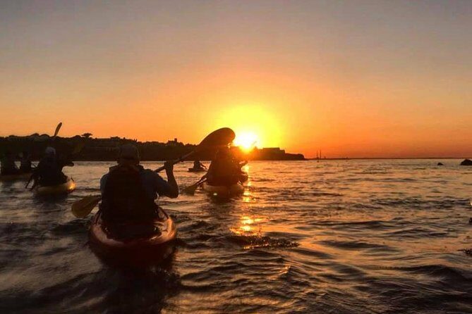 Dublin Bay Seal Kayaking Safari at Dalkey - Dublin Bay seals and the UNESCO biosphere, from paddle level