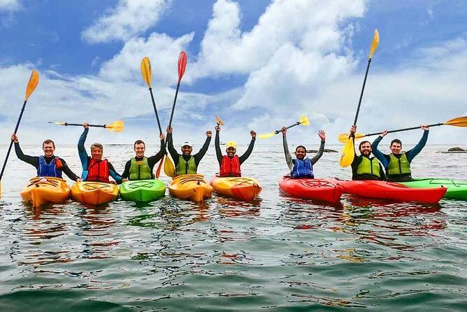 Dublin Bay Seal Kayaking Safari at Dalkey - Weather changes everything: wind, launch points, and calm alternatives