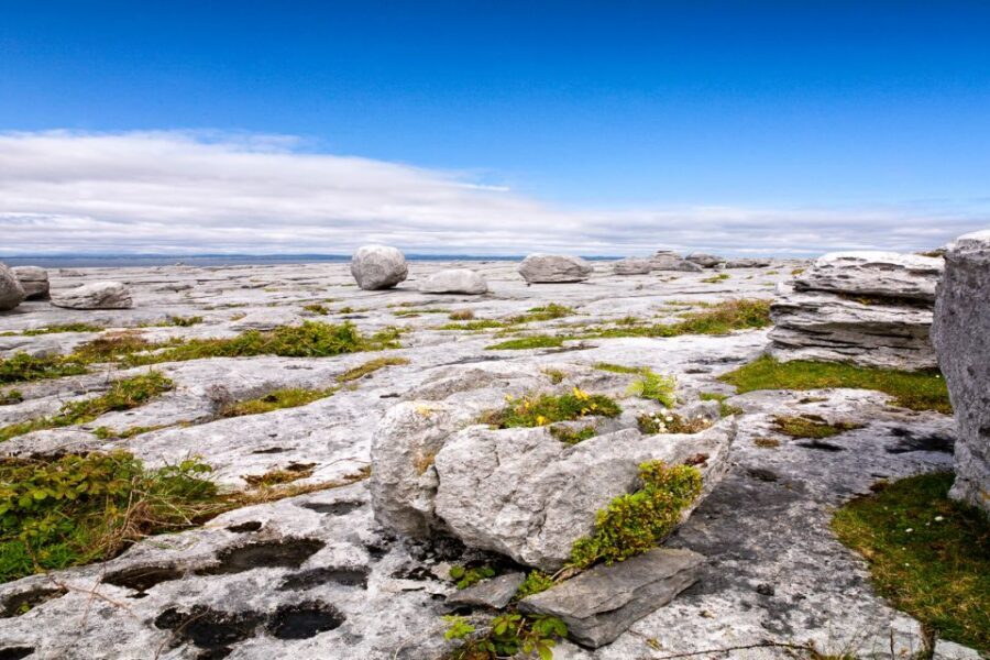 Dublin: Cliffs of Moher, Atlantic Edge & Galway City - Price and Value: Is $85 a Good Deal for This Much West Ireland?