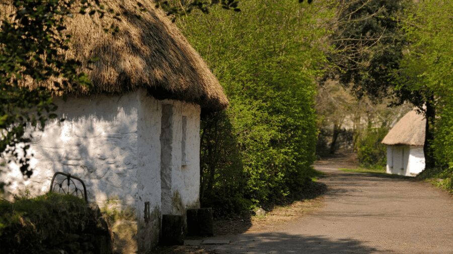 Dublin: Cliffs of Moher, Ennis, & Bunratty Castle Day Tour - Ennis, Ireland’s friendly town: lunch, a walking tour, and trad culture