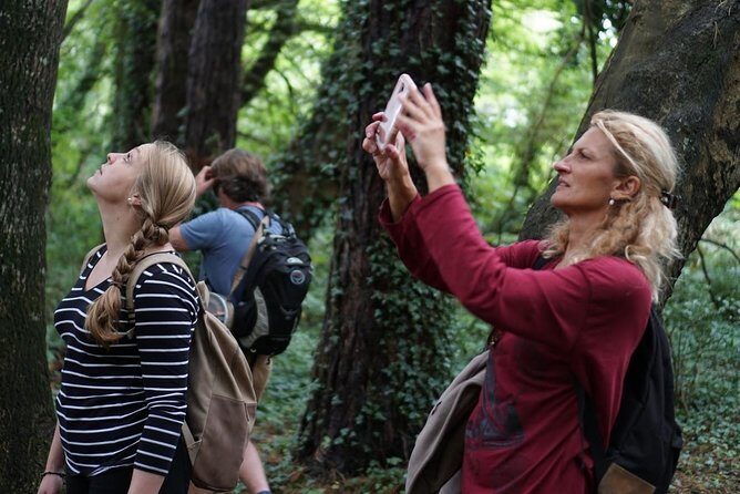 Dublin Coastal Hike with Howth Adventures - Why this Howth coastal hike is a smart Dublin half-day