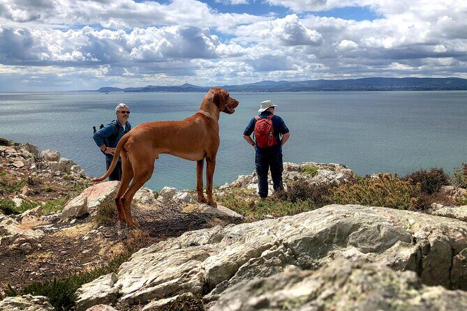 Dublin Coastal Hike with Howth Adventures - St Mary’s Abbey: Viking stone in the middle of your hike
