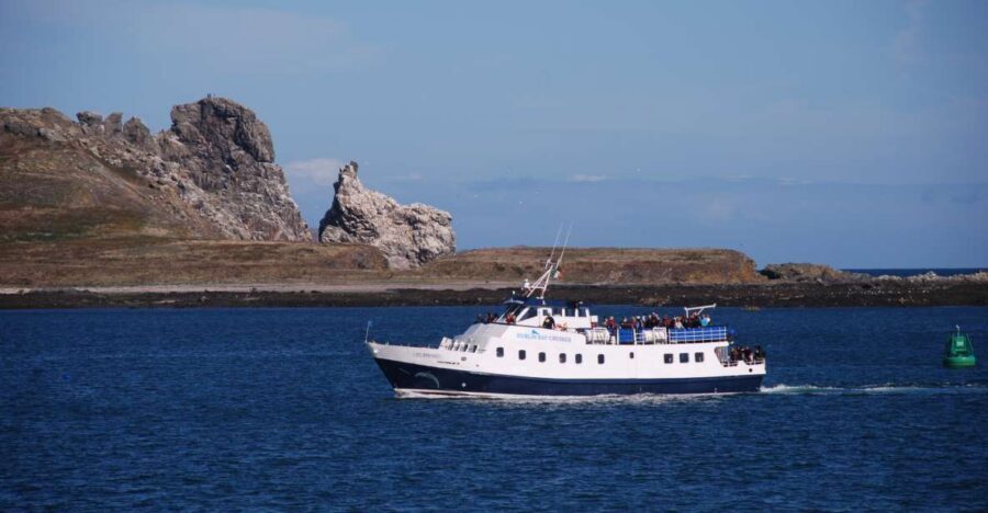 Dublin: Dublin Bay Cruise from Howth to Dun Laoghaire - Howth Head and the cliffs: your first real wow moment