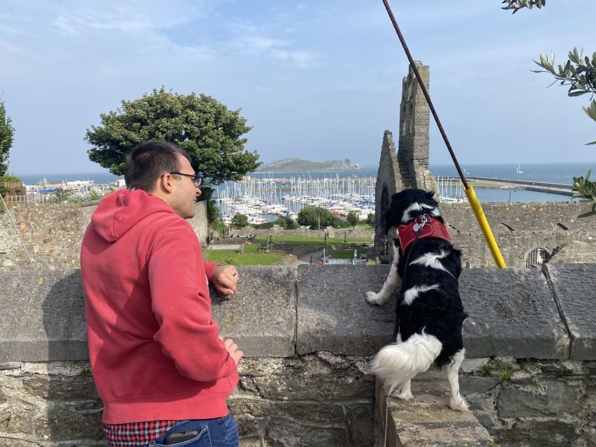 Dublin: Dublin Coastal Hike and Pints & Puppies - History stops: 700-year-old castle and St. Mary’s Abbey (built 1042)