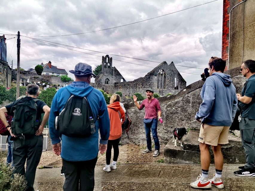 Dublin: Dublin Coastal Hike and Pints & Puppies - End with a pint at the Blood Stream pub