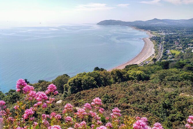 Dublin (Dun Laoghaire) Top-Rated Coastal Walking Tour - Why the Dún Laoghaire-to-Dalkey Coast Route Feels Different