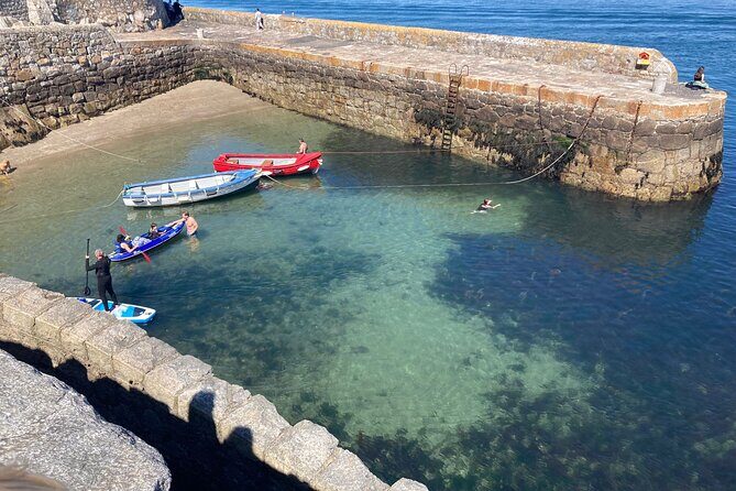 Dublin (Dun Laoghaire) Top-Rated Coastal Walking Tour - Bulloch Harbour, Bulloch Castle Ruin, and the “Seals on the Rocks” Moment