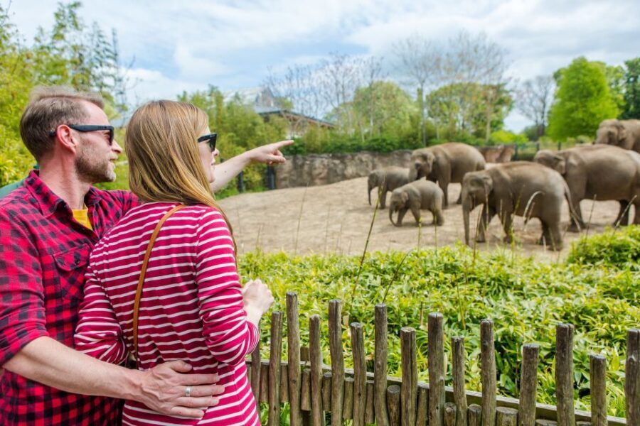 Dublin Explorer Pass: Save up to 50% on 3 to 7 Attractions - A Practical Way to Build Your Dublin Days
