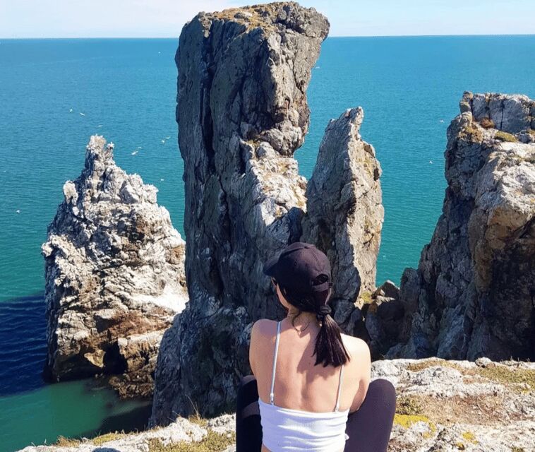 Dublin: Ferry from Howth to Ireland's Eye island - Birdwatching reality check: puffins, cormorants, gannets, and the timing factor