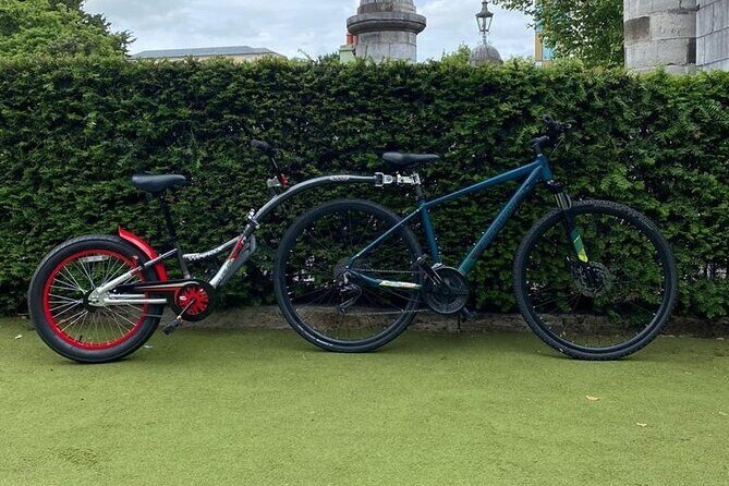 Dublin Full Day Bike Rental - Deer moments and the walking trade-off inside the park
