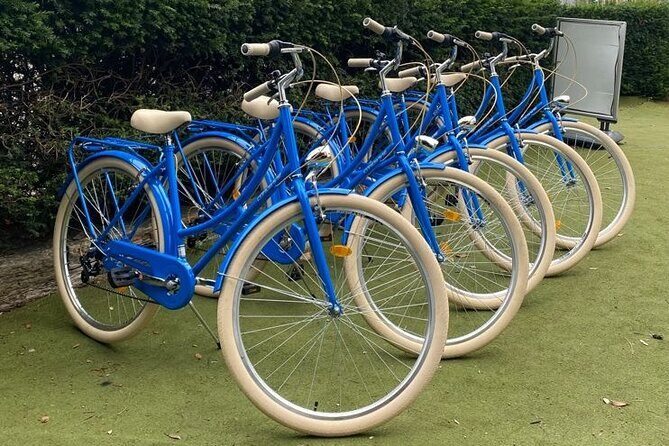 Dublin Full Day Bike Rental - Choosing your bike: adults, kids, tandems, and pedal-assist e-bikes