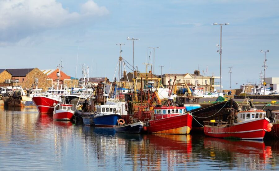 Dublin: Full-Day Howth and Malahide Castle Tour - Who This Tour Suits Best