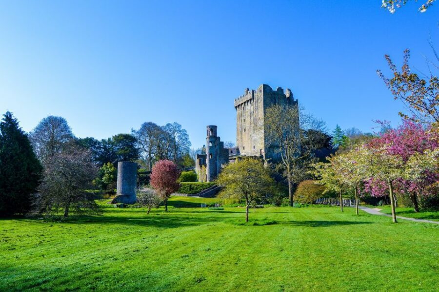 Dublin: Full-Day Tour to Cork, Cobh and Blarney Castle - Price and value at about $158 per person: what you’re really paying for