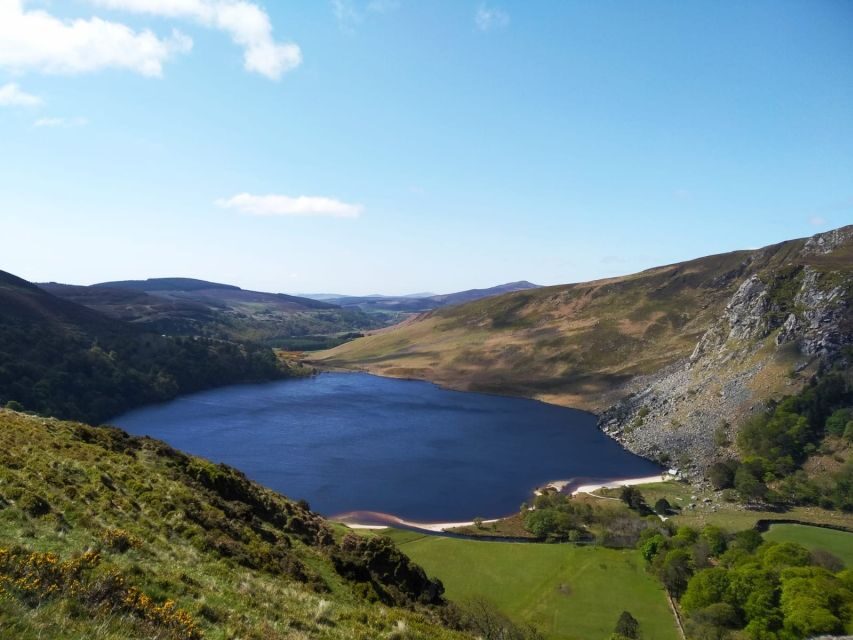 Dublin: Full-Day Wicklow Mountains Tour w/ Glendalough Visit - Key Points You’ll Care About