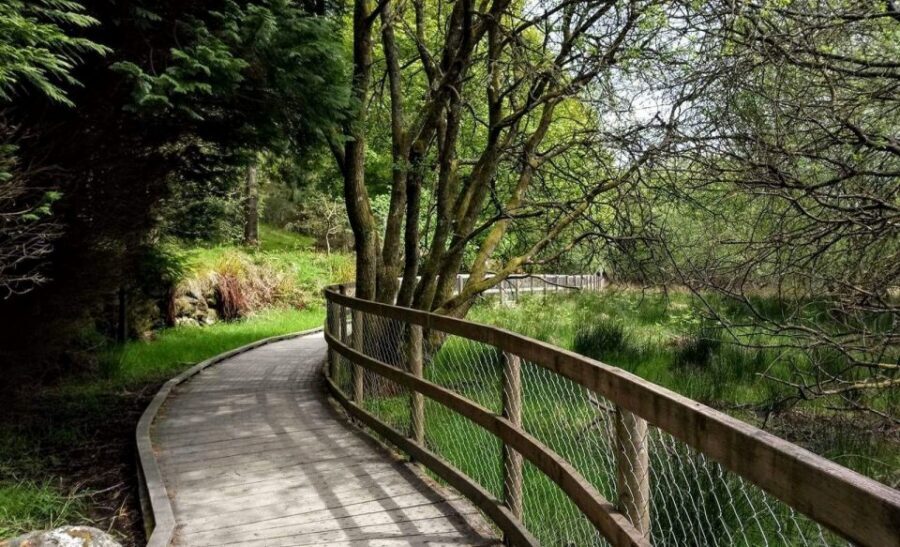Dublin: Full-Day Wicklow Mountains Tour w/ Glendalough Visit - The Guide Factor: Clear Explanations in Italian or Spanish