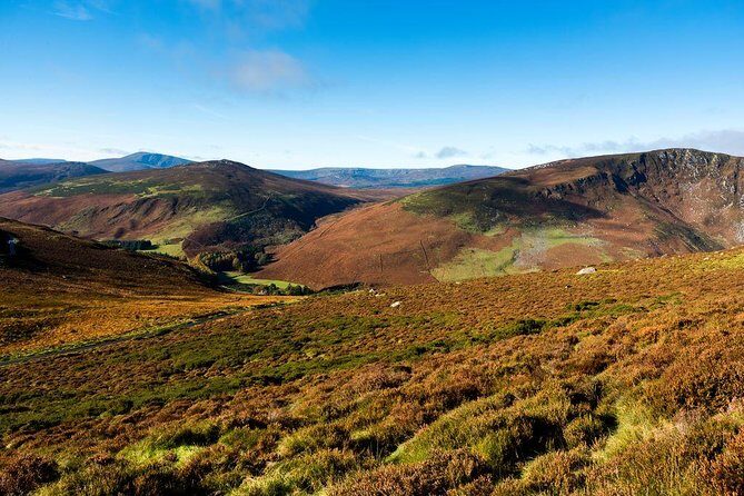Dublin: Glendalough, Wicklow, Kilkenny and Sheepdog demonstration - Glendalough Monastic Settlement: Guided Start, Then Your Own Pace