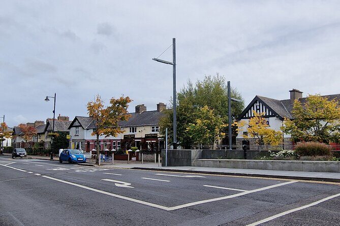 Dublin: Hidden Gem Walking Tour with Local Guide - Price and logistics: what $18.05 buys you