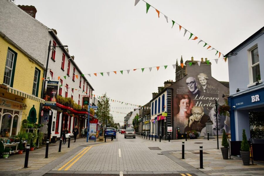 Dublin: Historical and Cultural Historical Walking Tour - Dublin Castle: a quick look at power and presence in the center