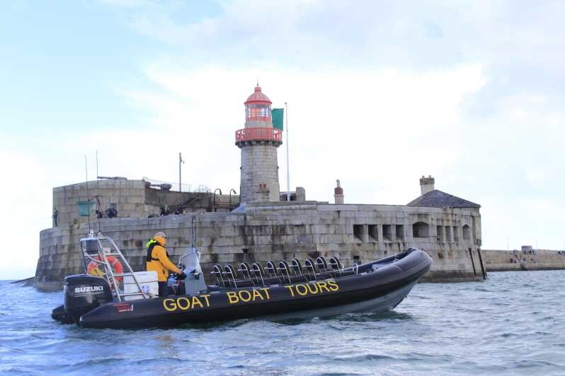 Dublin: History and Wildlife Boat Tour with Live Commentary - Why a Dublin Bay RIB tour feels like real coastal time