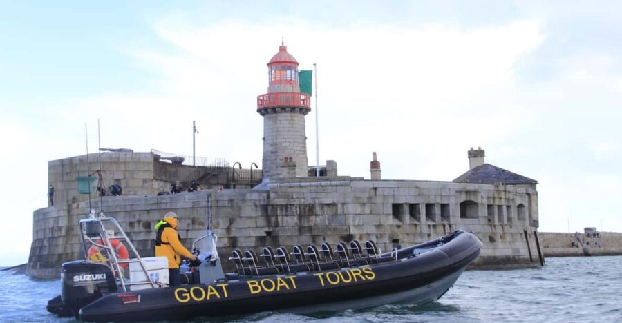 Dublin: History and Wildlife Boat Tour with Live Commentary - Safety briefing first, then the coast in motion