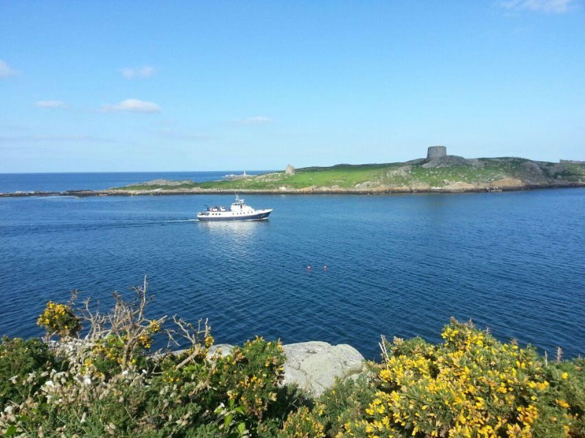 Dublin: Howth Cliffs and Ireland's Eye Boat Cruise - What to bring (so the hour feels good)