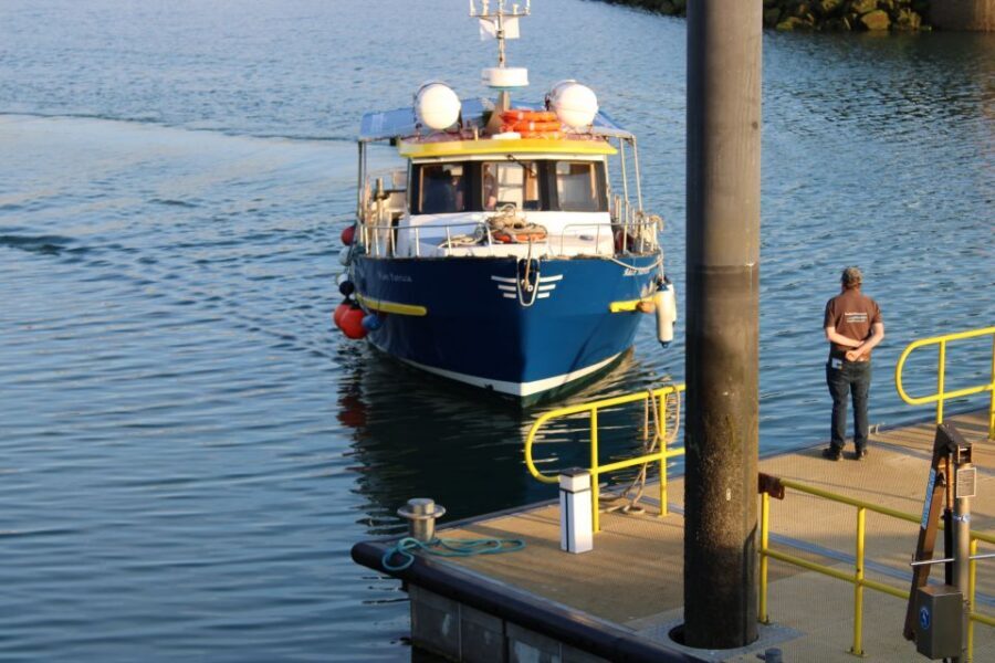 Dublin: Howth Cliffs and Lighthouse Cruise - Where You Start in Howth: West Pier, Easy to Find