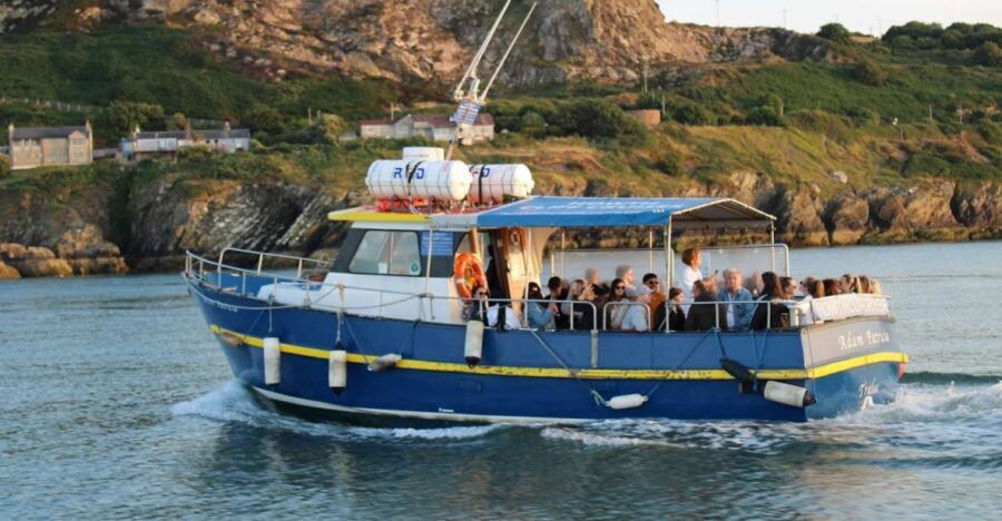 Dublin: Howth Cliffs and Lighthouse Cruise - Price and Value: Is $28 Worth It?
