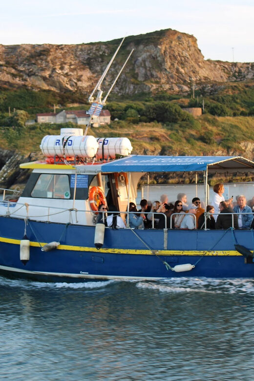 Dublin: Howth Coast and Ireland's Eye Boat Tour - Ireland’s Eye from the water: Martello Tower and island stories