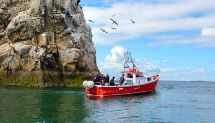 Dublin: Howth Coastal Boat Tour - Key things that make this tour worth your time