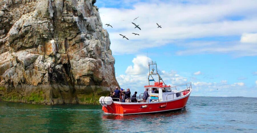 Dublin: Howth Coastal Boat Tour - Meeting at 9 W Pier: the one logistics detail you should nail