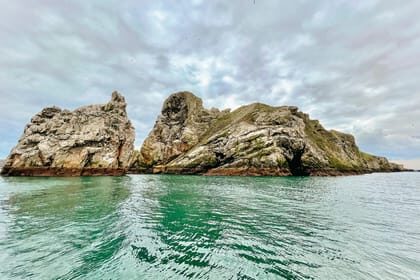 Dublin: Howth Coastal Boat Tour - Stop-by-stop: what happens during the 50-minute cruise