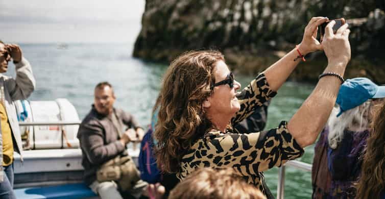 Dublin: Howth Coastal Boat Tour - Pricing: is $28 for 50 minutes a fair deal?