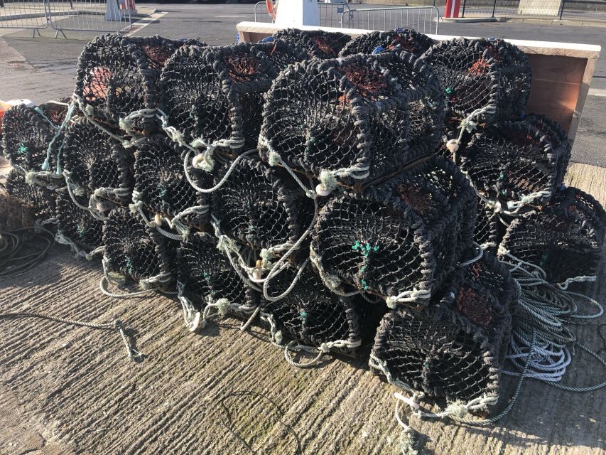 Dublin: Howth Coastal Craft Beer and Seafood Tour - Craft beer pairing: tasting at least 5 local brews