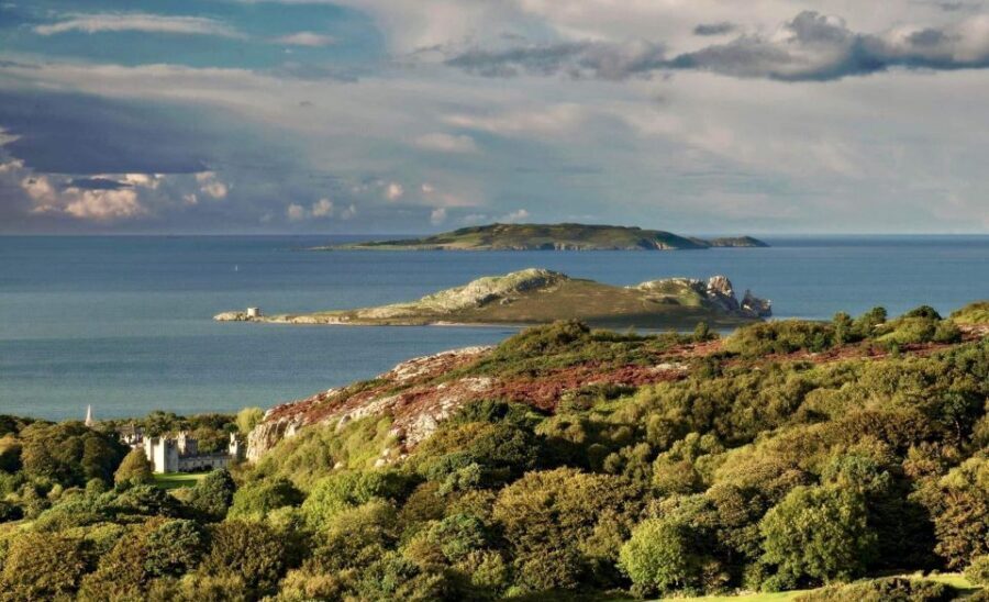 Dublin: Howth Coastal Hiking Tour - Harbour time and wildlife spotting: seals, sea air, and a calmer pace
