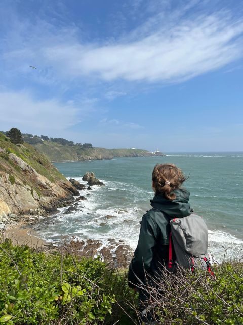 Dublin: Howth Safari Hiking Tour - Key highlights that make this Howth hike worth your time