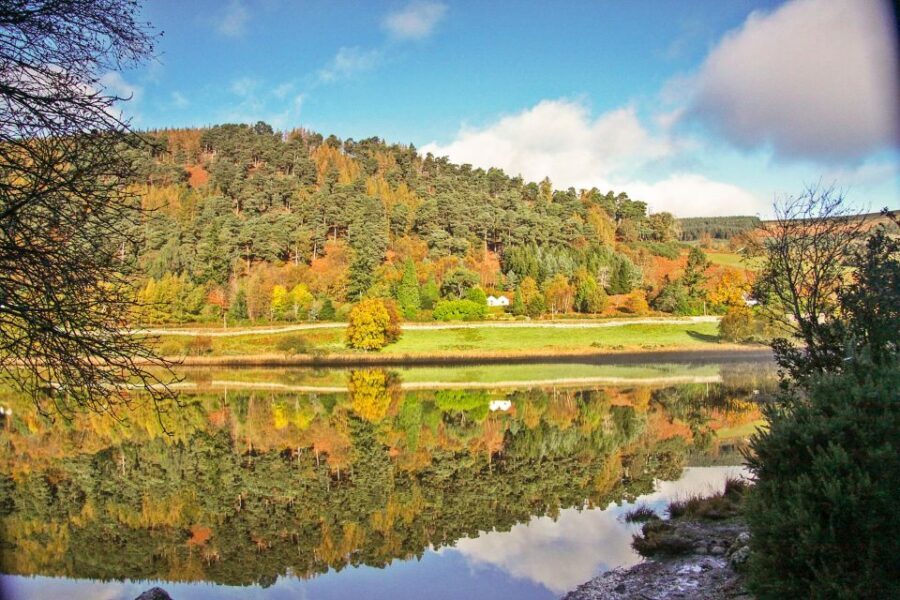 Dublin: Kilkenny, Wicklow & Glendalough Tour & Sheepdog Show - Who should book it, and who should skip it