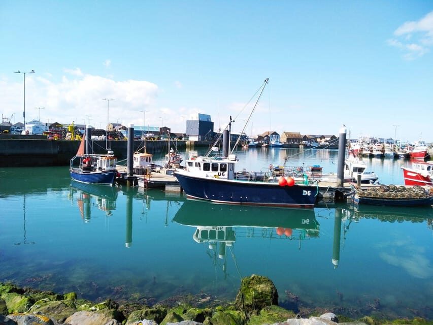 DUBLIN: Malahide castle and Howth MULTILINGUAL full day tour - Seals in Howth Harbour: timing your view