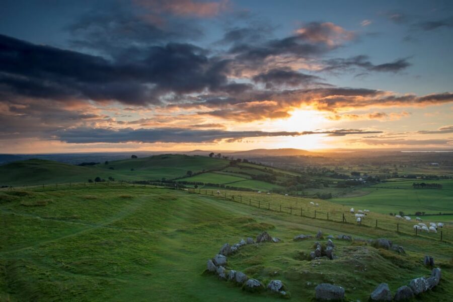 Dublin: Private Boyne Valley and Trim Castle Day Tour - Guide Brian and the real value of customization
