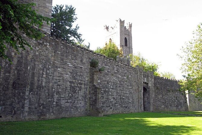 Dublin Private Medieval Walking Tour - The Liberties: Where Medieval Brick Meets Modern Street Life