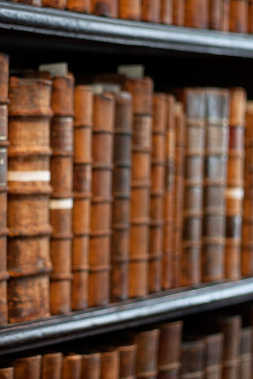 Dublin: St Patrick's, Book of Kells, and Dublin Castle Tour - Who should book this tour (and who should consider a different plan)