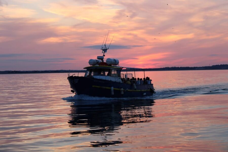 Dublin: Sunset Cruise in Howth - Key Highlights You’ll Actually Care About