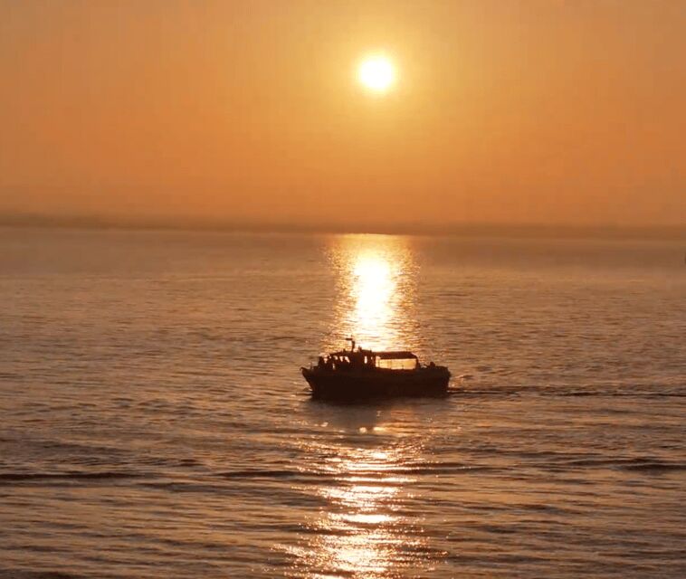 Dublin: Sunset Cruise in Howth - Ireland’s Eye Wildlife: Puffins, Seals, and Seeing Nature Up Close